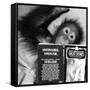 An Orangutan reading ghost stories-Staff-Framed Stretched Canvas