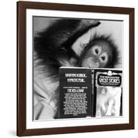 An Orangutan reading ghost stories-Staff-Framed Photographic Print