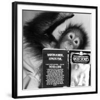 An Orangutan reading ghost stories-Staff-Framed Photographic Print