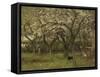 An Orchard in Bloom-Geo Poggenbeek-Framed Stretched Canvas