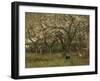 An Orchard in Bloom-Geo Poggenbeek-Framed Art Print