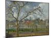 An Orchard in Pontoise in Winter, 1877 by Camille Pissarro-Camille Pissarro-Mounted Giclee Print