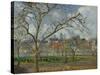 An Orchard in Pontoise in Winter, 1877 by Camille Pissarro-Camille Pissarro-Stretched Canvas