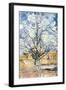 An Orchard-Vincent van Gogh-Framed Giclee Print