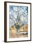 An Orchard-Vincent van Gogh-Framed Giclee Print