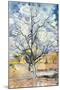 An Orchard-Vincent van Gogh-Mounted Giclee Print