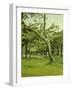 An Orchard-Claude Monet-Framed Giclee Print