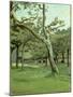 An Orchard-Claude Monet-Mounted Premium Giclee Print