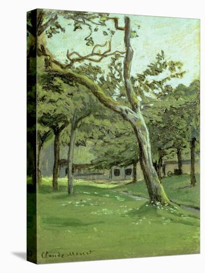 An Orchard-Claude Monet-Stretched Canvas