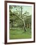 An Orchard-Claude Monet-Framed Giclee Print