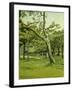 An Orchard-Claude Monet-Framed Giclee Print