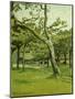 An Orchard-Claude Monet-Mounted Giclee Print