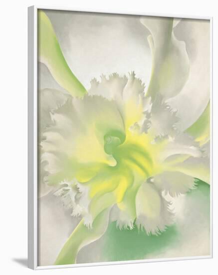 An Orchid, 1941-Georgia O'Keeffe-Framed Art Print