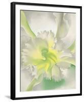 An Orchid, 1941-Georgia O'Keeffe-Framed Art Print