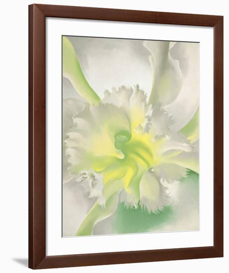 An Orchid, 1941-Georgia O'Keeffe-Framed Art Print