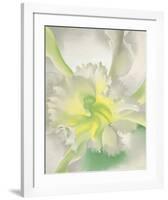 An Orchid, 1941-Georgia O'Keeffe-Framed Art Print