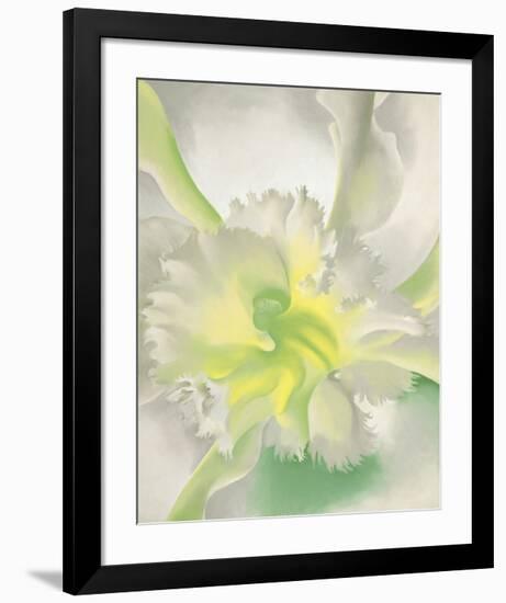 An Orchid, 1941-Georgia O'Keeffe-Framed Art Print