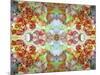 An Ornamental Symmetric Montage from Flowers and Seashells-Alaya Gadeh-Mounted Photographic Print