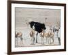 An Ostrich and Group of Springbok at a Watering Hole in Etosha National Park, Namibia-Alex Saberi-Framed Photographic Print