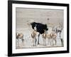 An Ostrich and Group of Springbok at a Watering Hole in Etosha National Park, Namibia-Alex Saberi-Framed Photographic Print