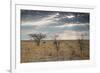 An Ostrich at Sunrise in Etosha National Park-Alex Saberi-Framed Photographic Print