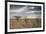 An Ostrich at Sunrise in Etosha National Park-Alex Saberi-Framed Photographic Print