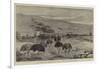 An Ostrich Farm at the Cape of Good Hope-null-Framed Giclee Print