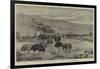 An Ostrich Farm at the Cape of Good Hope-null-Framed Giclee Print