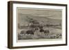 An Ostrich Farm at the Cape of Good Hope-null-Framed Giclee Print