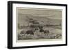 An Ostrich Farm at the Cape of Good Hope-null-Framed Giclee Print