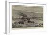An Ostrich Farm at the Cape of Good Hope-null-Framed Giclee Print