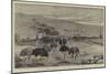 An Ostrich Farm at the Cape of Good Hope-null-Mounted Giclee Print