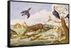 An Otter and an Owl Guarding their Catches-Jan van Kessel the Elder-Framed Stretched Canvas