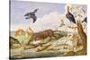 An Otter and an Owl Guarding their Catches-Jan van Kessel the Elder-Stretched Canvas