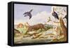 An Otter and an Owl Guarding their Catches-Jan van Kessel the Elder-Framed Stretched Canvas