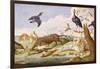 An Otter and an Owl Guarding their Catches-Jan van Kessel the Elder-Framed Giclee Print