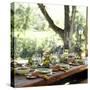 An Outdoor Table Setting with a Vegetarian Meal-Renée Comet-Stretched Canvas