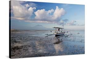 An Outrigger Fishing Boat on the Coast of Bali-Alex Saberi-Stretched Canvas