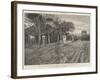 An Outskirt of Buluwayo, Captured by the British Forces, 31 October-null-Framed Giclee Print