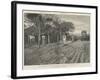 An Outskirt of Buluwayo, Captured by the British Forces, 31 October-null-Framed Giclee Print