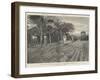 An Outskirt of Buluwayo, Captured by the British Forces, 31 October-null-Framed Giclee Print