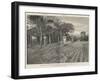 An Outskirt of Buluwayo, Captured by the British Forces, 31 October-null-Framed Giclee Print