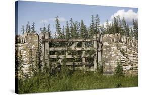 An Overgrown Old Gate and Dry Stone Wall, Burford, Oxfordshire, UK-Nick Turner-Stretched Canvas