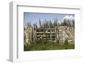 An Overgrown Old Gate and Dry Stone Wall, Burford, Oxfordshire, UK-Nick Turner-Framed Photographic Print