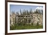 An Overgrown Old Gate and Dry Stone Wall, Burford, Oxfordshire, UK-Nick Turner-Framed Photographic Print