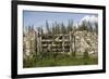 An Overgrown Old Gate and Dry Stone Wall, Burford, Oxfordshire, UK-Nick Turner-Framed Photographic Print