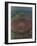 An Overhead Aerial View of the Crowd at Jfk Stadium-null-Framed Photographic Print