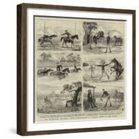 An Overland Journey from Queensland to Sydney with a New Chum-null-Framed Giclee Print