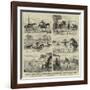 An Overland Journey from Queensland to Sydney with a New Chum-null-Framed Giclee Print