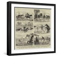 An Overland Journey from Queensland to Sydney with a New Chum-null-Framed Giclee Print